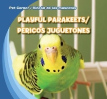 Playful Parakeets / Pericos juguetones