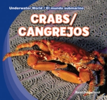 Crabs / Cangrejos