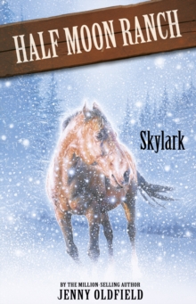 Skylark : Book 17