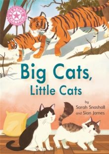 Reading Champion: Big Cats, Little Cats : Independent Reading Pink 1B Non-fiction