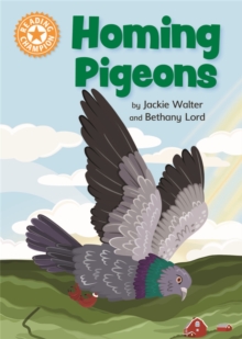 Reading Champion: Homing Pigeons : Independent Reading Orange 6 Non-fiction