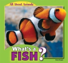 What's a Fish?