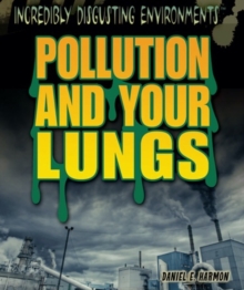 Pollution and Your Lungs