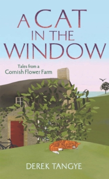 A Cat in the Window : Tales from a Cornish Flower Farm