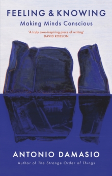 Feeling and Knowing : Making Minds Conscious