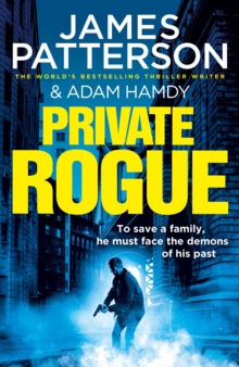 Private Rogue : (Private 16)