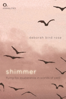 Shimmer : Flying Fox Exuberance in Worlds of Peril