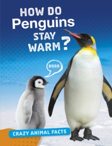 How Do Penguins Stay Warm?