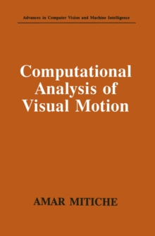 Computational Analysis of Visual Motion