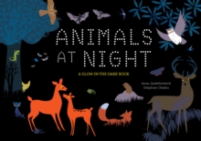 Animals at Night : A Glow-in-the-Dark Book