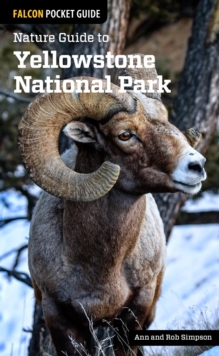 Nature Guide to Yellowstone National Park