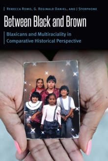 Between Black and Brown : Blaxicans and Multiraciality in Comparative Historical Perspective