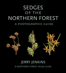 Sedges of the Northern Forest : A Photographic Guide