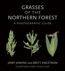 Grasses of the Northern Forest : A Photographic Guide