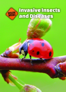 Invasive Insects and Diseases