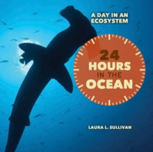 24 Hours in the Ocean