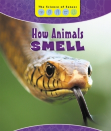 How Animals Smell