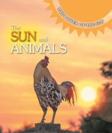 The Sun and Animals