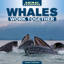 Whales Work Together