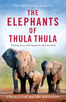 The Elephants of Thula Thula : Finding peace and happiness with the herd