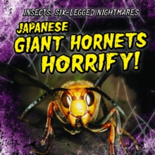 Japanese Giant Hornets Horrify!