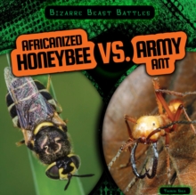 Africanized Honeybee vs. Army Ant
