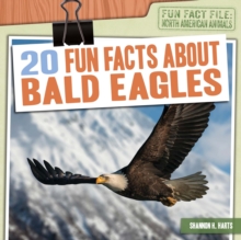 20 Fun Facts About Bald Eagles