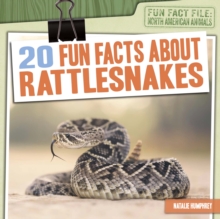 20 Fun Facts About Rattlesnakes