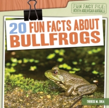 20 Fun Facts About Bullfrogs