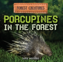 Porcupines in the Forest