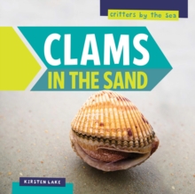 Clams in the Sand