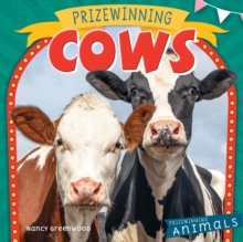 Prizewinning Cows