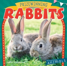Prizewinning Rabbits