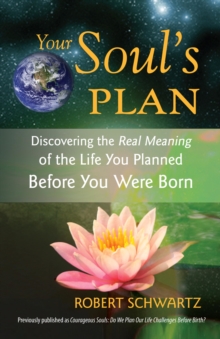 Your Soul's Plan