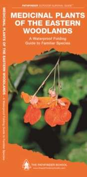 Medicinal Plants of the Eastern Woodlands : A Waterproof Folding Guide to Familiar Species