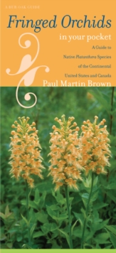 Fringed Orchids in Your Pocket : A Guide to Native Platanthera Species of the Continental United States and Canada