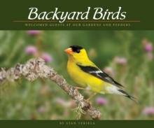 Backyard Birds : Welcomed Guests at Our Gardens and Feeders