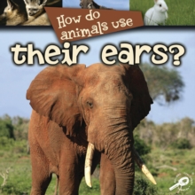 How Do Animals Use... Their Ears?