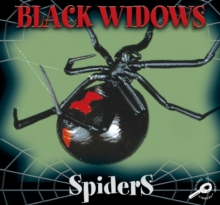 Black Widows