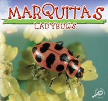 Mariquitas : Lady Bugs