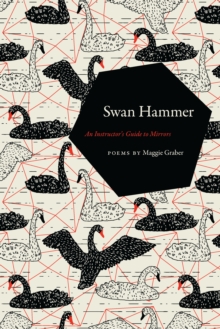 Swan Hammer : An Instructor's Guide to Mirrors