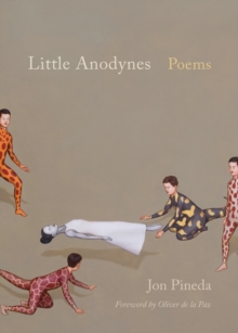 Little Anodynes : Poems