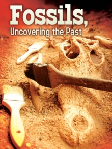 Fossils : Uncovering The Past