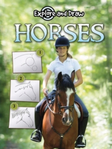 Horses, Drawing and Reading