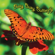 Busy, Busy Butterfly
