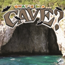 What's in a... Cave?