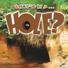 What's in a... Hole?