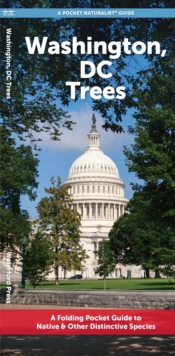 Washington, DC Trees : A Folding Pocket Guide to Native & Other Distinctive Species