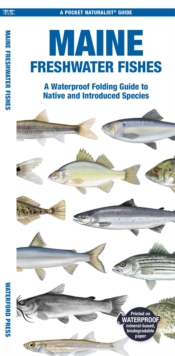 Maine Freshwater Fishes : A Waterproof Folding Guide to Native and Introduced Species