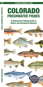 Colorado Freshwater Fishes : A Waterproof Folding Guide to Native and Introduced Species